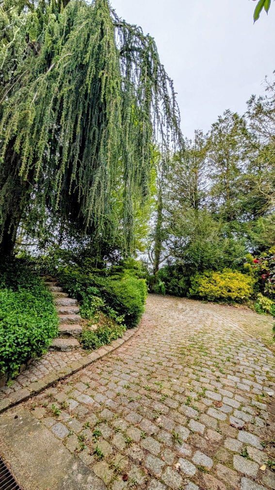 Majestueuse Maison parc arboré de 7241m2
