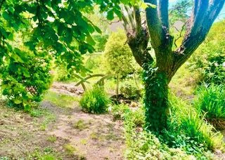 LONGÈRE DE 138M2 SUR UN TERRAIN DE 2692M2