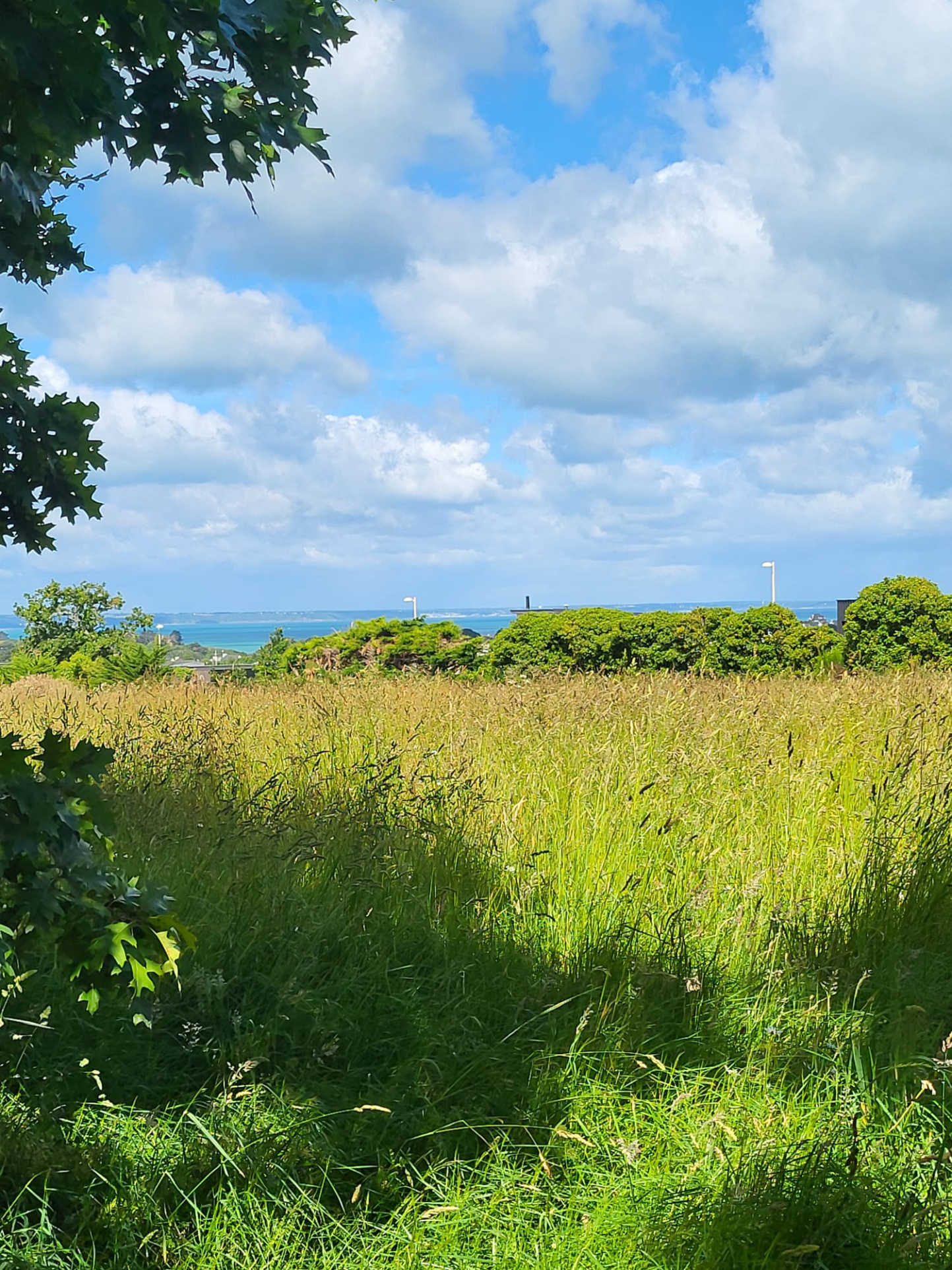 Terrain à bâtir